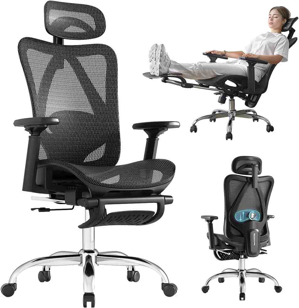 Ergonomic Office Chair